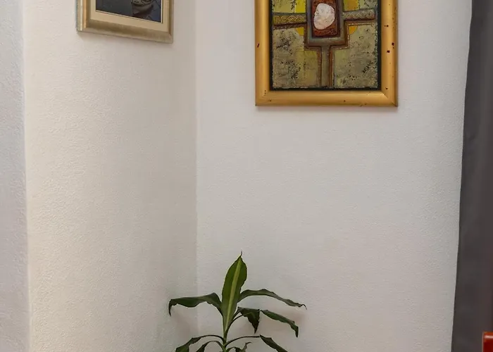 Radaic 프리그라디차