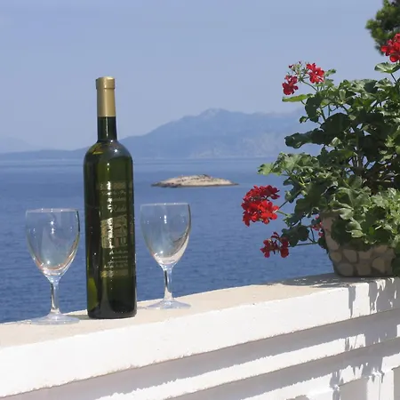 Apartment Apartments Radaic