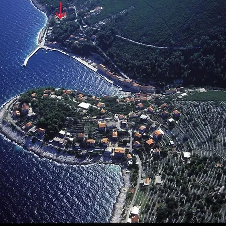Radaic *
