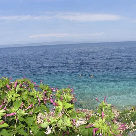 Apartments Radaic Apartment *