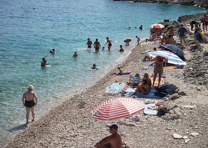 Radaic * 프리그라디차