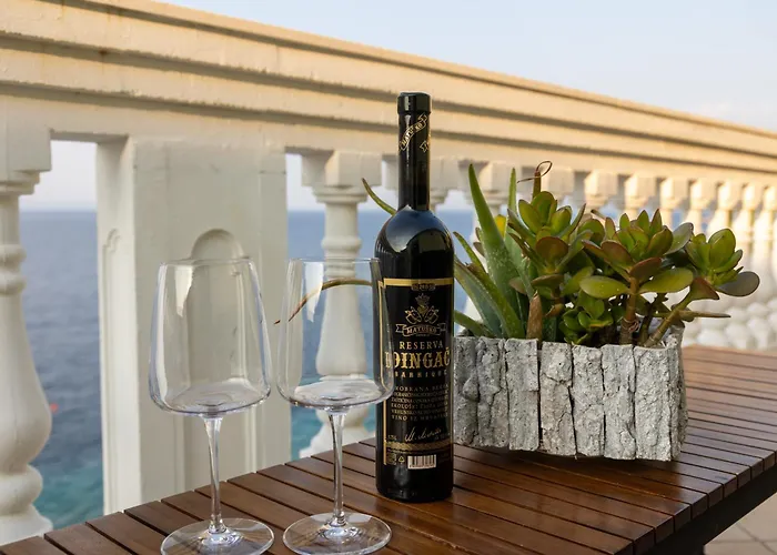 Radaic 프리그라디차