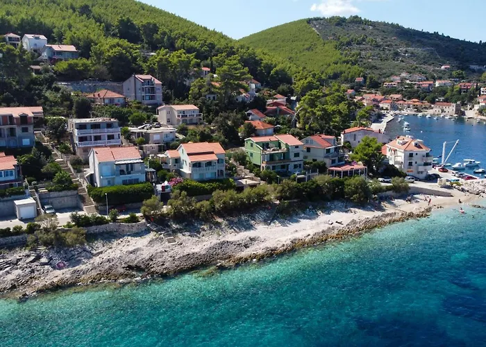 Radaic * 프리그라디차