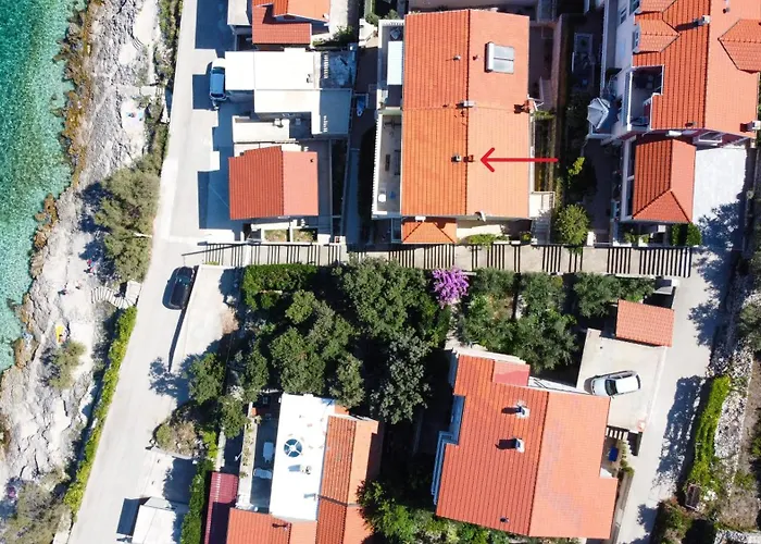 Radaic 프리그라디차