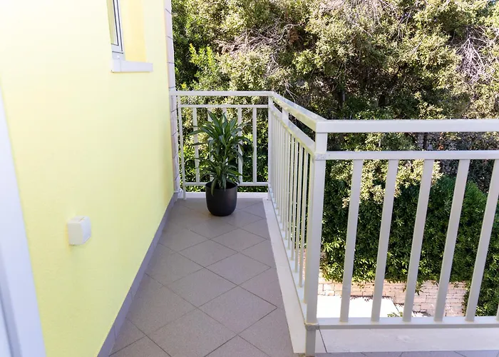 Radaic * 프리그라디차