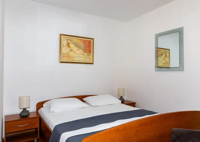 Radaic * 프리그라디차