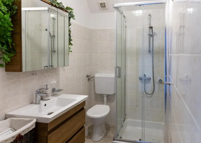 Radaic 프리그라디차