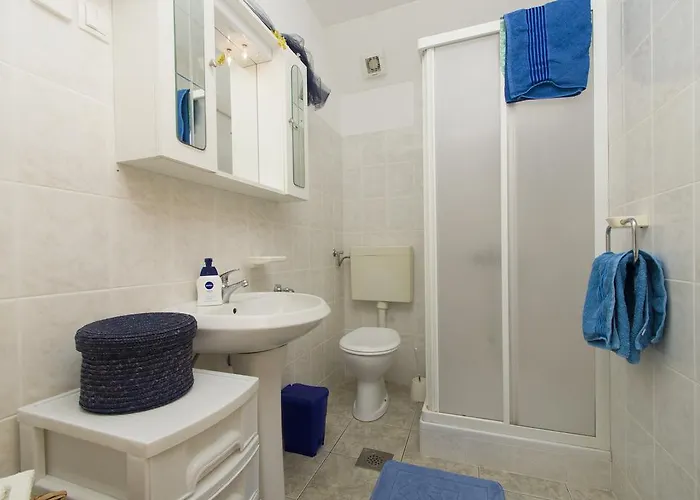 Radaic * 프리그라디차