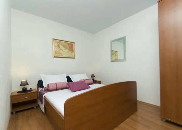 Radaic 프리그라디차