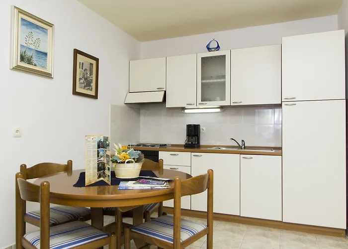 Radaic 프리그라디차