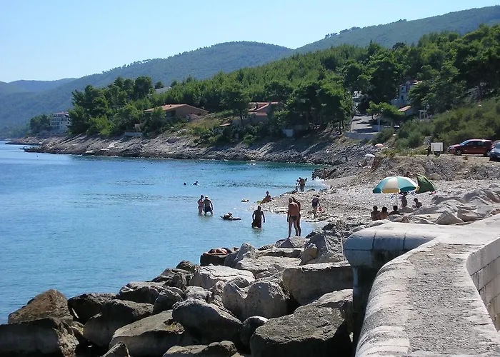 Radaic 프리그라디차