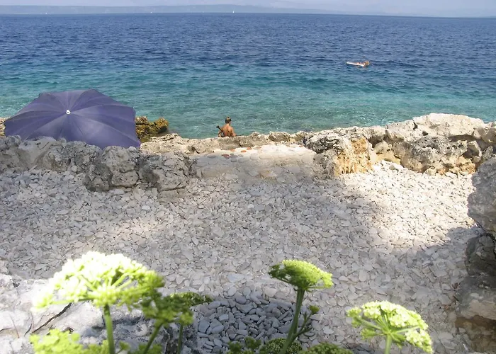 Radaic 프리그라디차