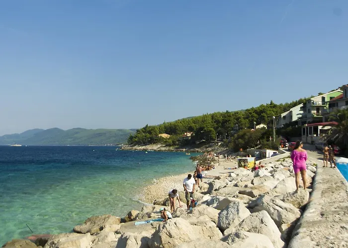 Radaic 프리그라디차