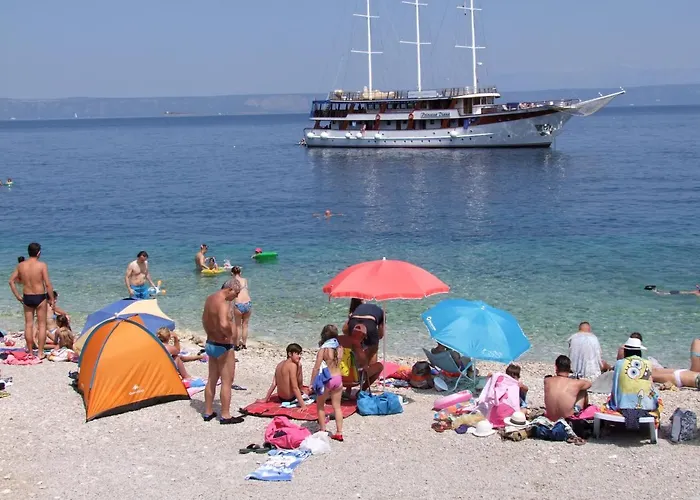 Radaic * 프리그라디차